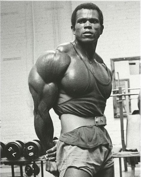 Serge Nubret competing in Open division - Professional bodybuilding photo 1 of 1